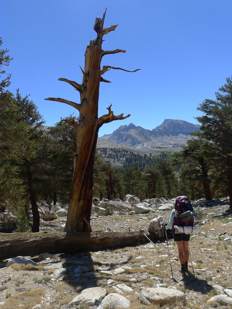 SouthernSierra 201